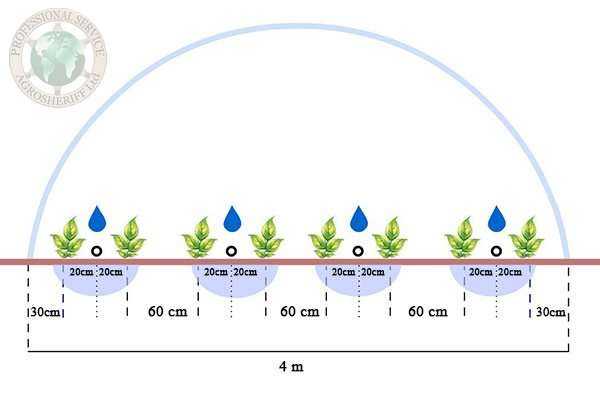 Drip irrigation for hobby greenhouse