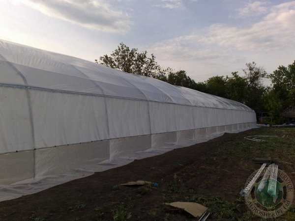 Greenhouse Teden-500