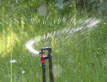 Sprinkler model 831